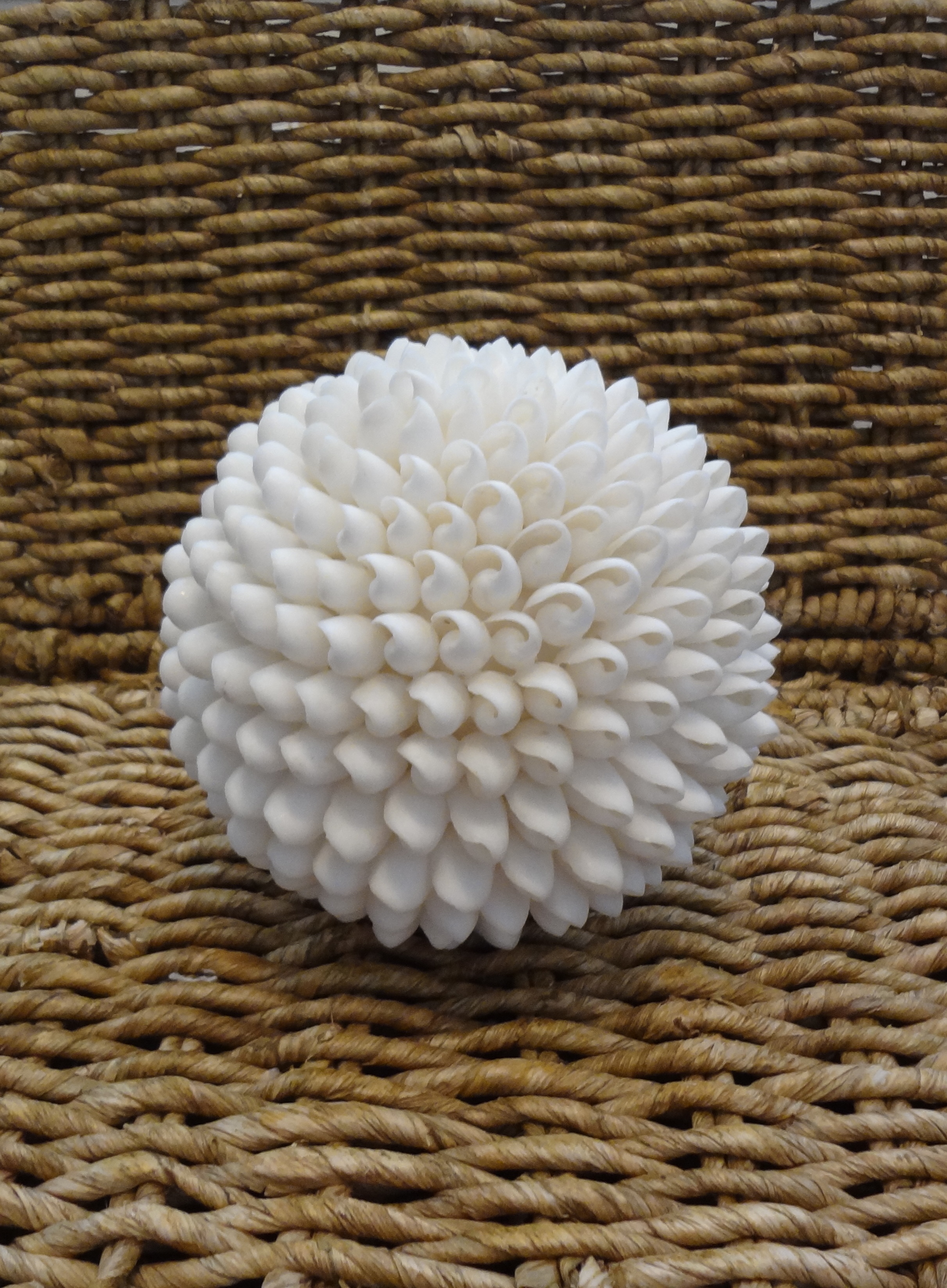 White Bubble Shell Sphere 6" 