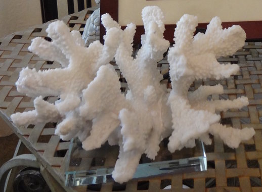 White Coral Sculpture/Crystal Base